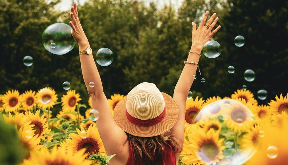 pexels-andre-furtado-1263986-1-1